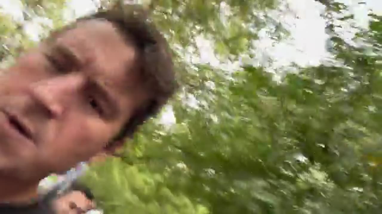 Alex Stein Assaulted by Peaceful Goons at No Kings Event