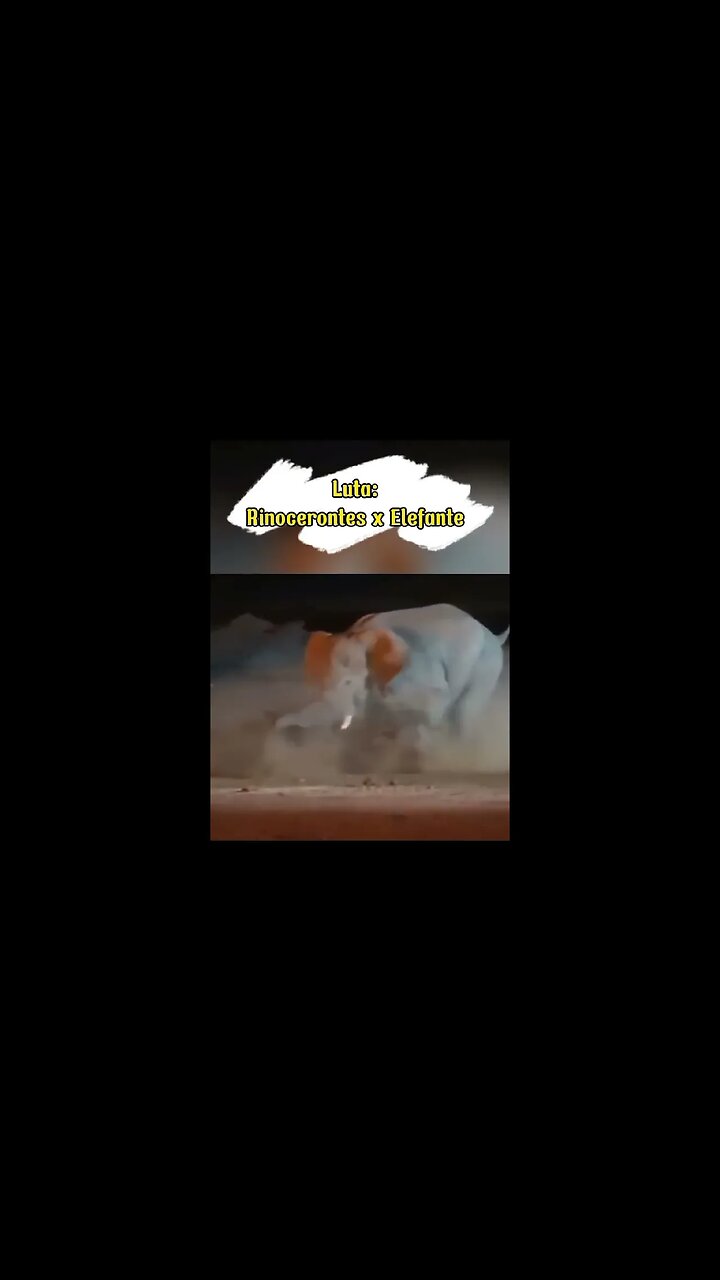 Luta Entre Rinoceronte E Elefante #shorts