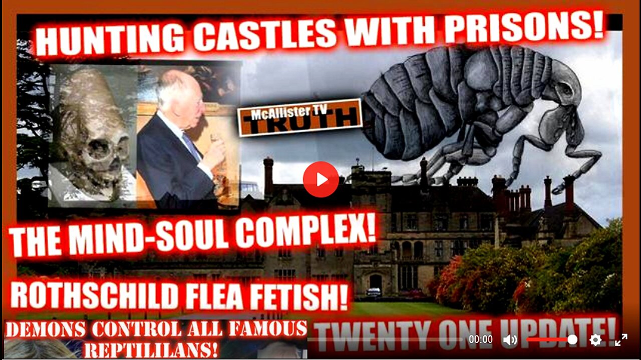 FLASH! THE MIND_SOUL COMPLEX! ROTHSCHILDS FLEAS! CASTLES WITH PRISONS! SOUL LOOP!