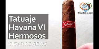 CONSISTENT. The TATUAJE HAVANA VI Hermosos Corona - CIGAR REVIEWS by CigarScore