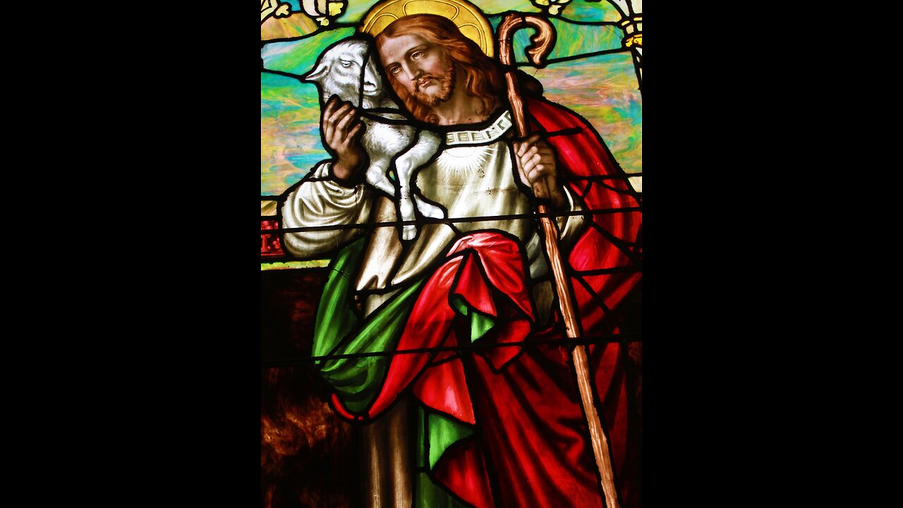 Daily Mass Reading 9-9-2024