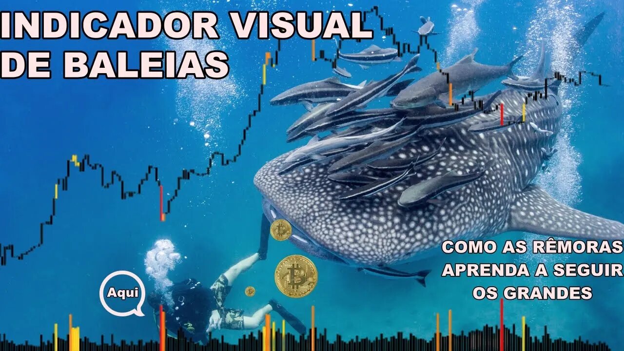 Nade com as Baleias do Bitcoin e os Tubarões da Bolsa com Heatmap Volume.