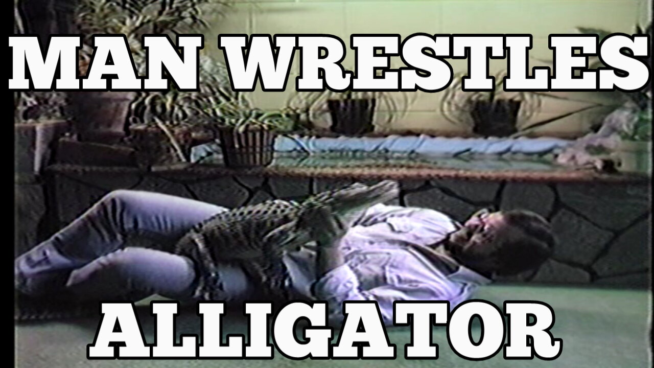 MAN WRESTLES ALLIGATOR