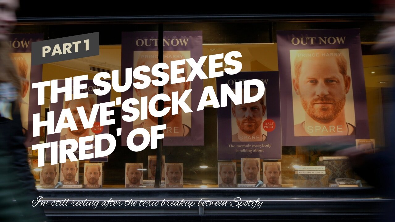 The Sussexes havesick and tired of people lining up to take cheap shots at them