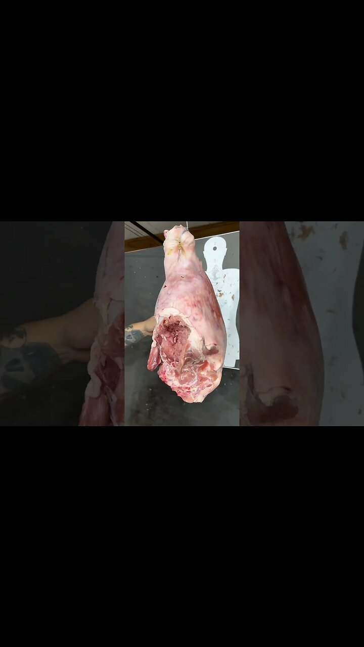 Calibre .45 ACP Hydra-Shok e .380ACP Hydra-Shok vs Pernil