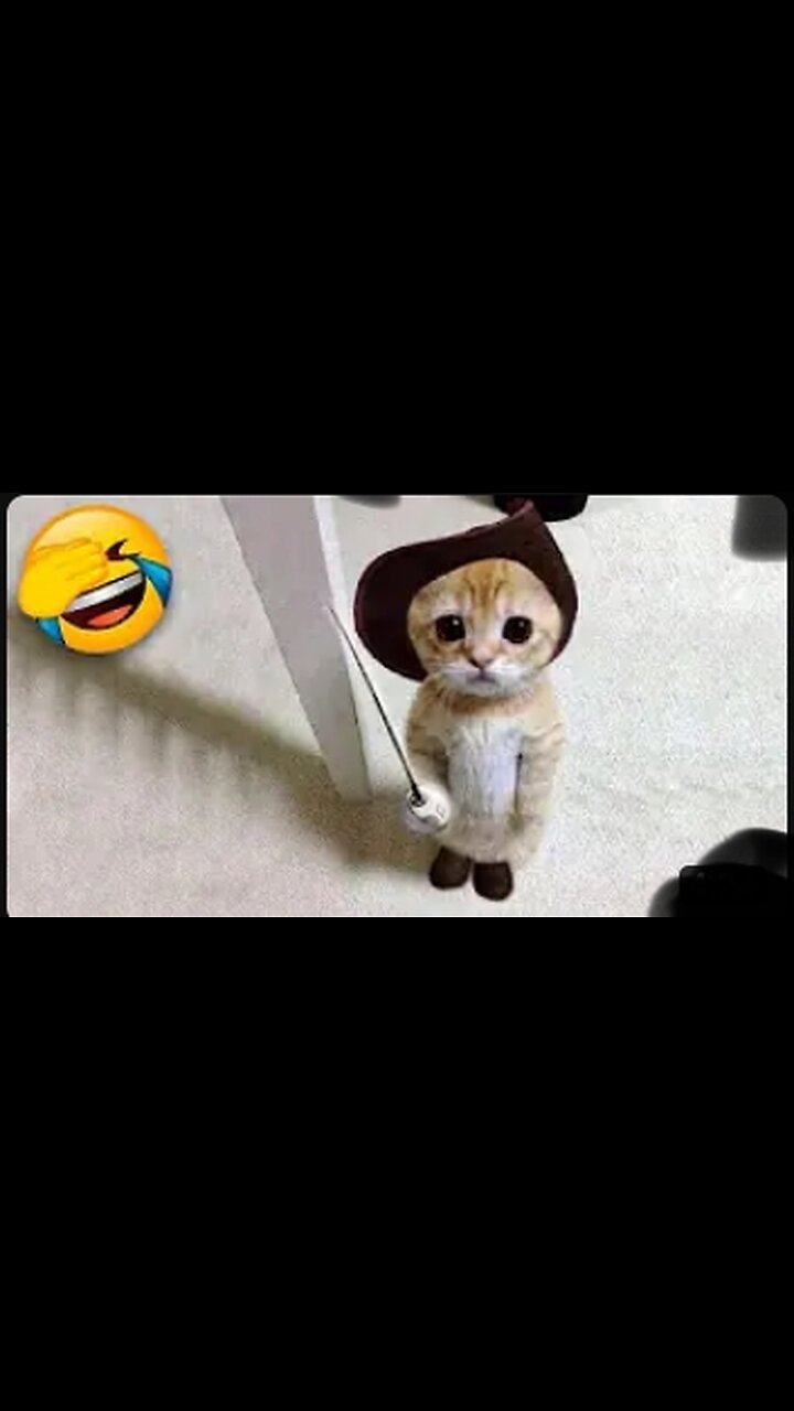 Funniest Cats and Dogs | Funny Animal Videos #9 #Funny #funnycat #Funnydog