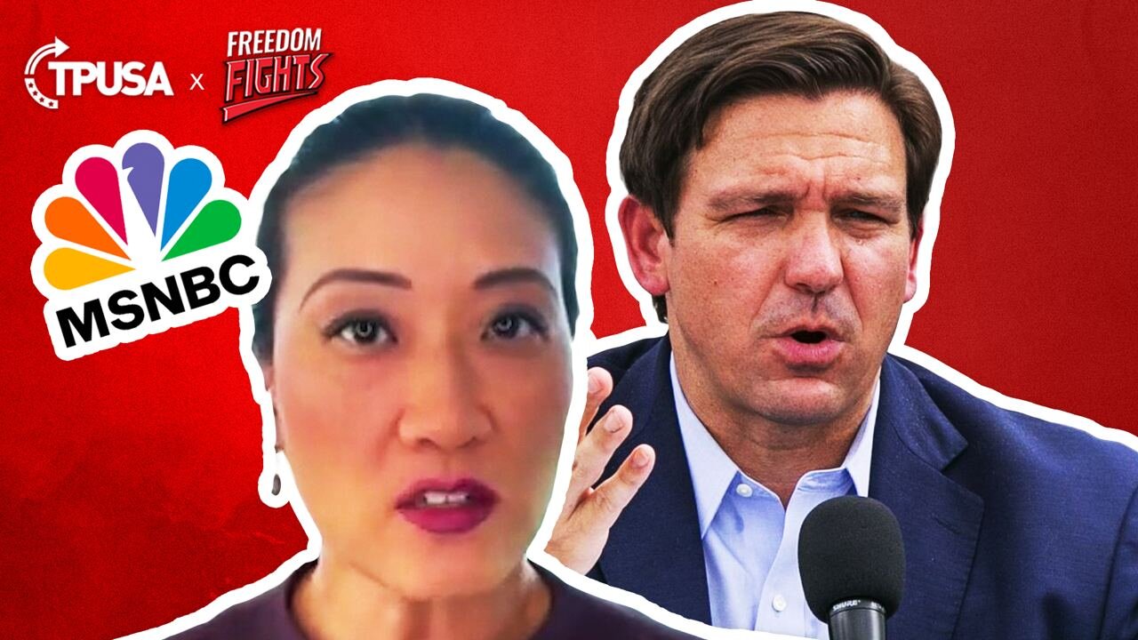 MSNBC Guest Delivers a Low Blow To Gov. DeSantis