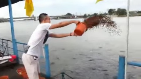 Epic Fish Feeding Frenzy