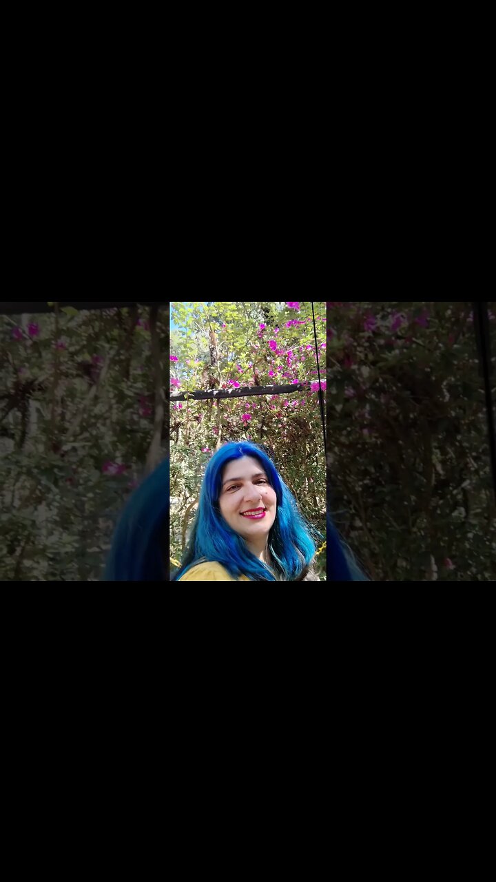 bosque do silêncio #shorts