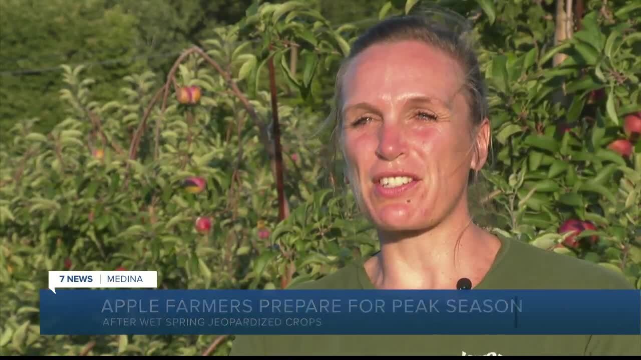 It was tough: Apple farms say early spring frost leading to smaller harvest