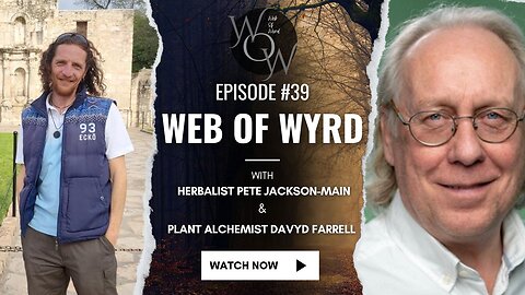 WoW #39: Letting The Light In To Transform The Darkness - Cancer Solstice Special With Davyd & Pete