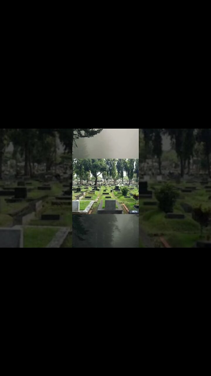 cerita bergambar horor kisah nyata Misteri kkn Desa penari 67 #shorts