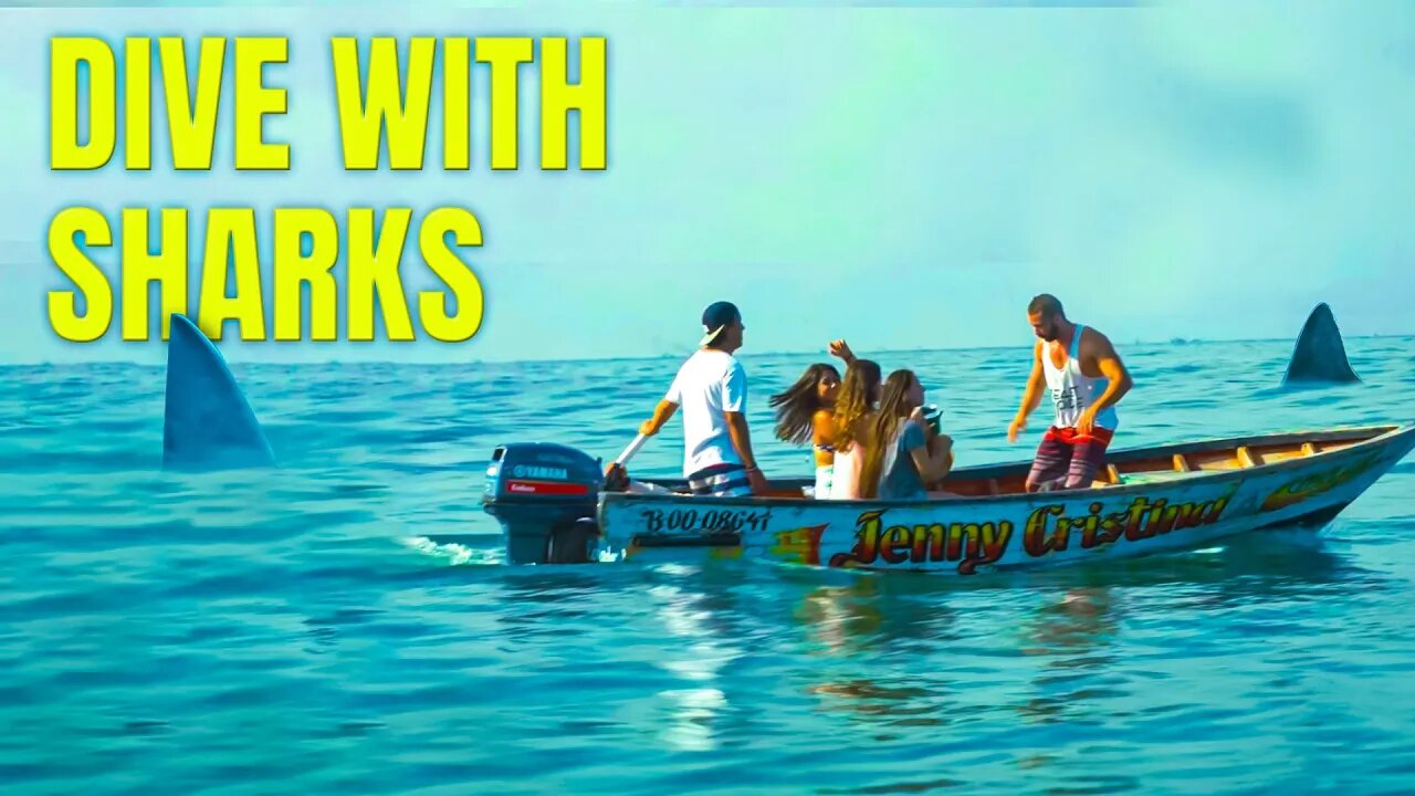 Real vs Movie Sharks