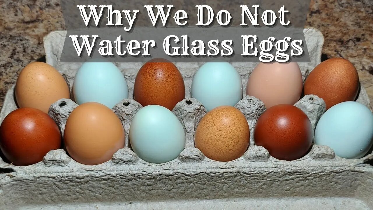 Why We Dont Water Glass Our Eggs Preserving Eggs How To Freeze Eggs Freezing Eggs