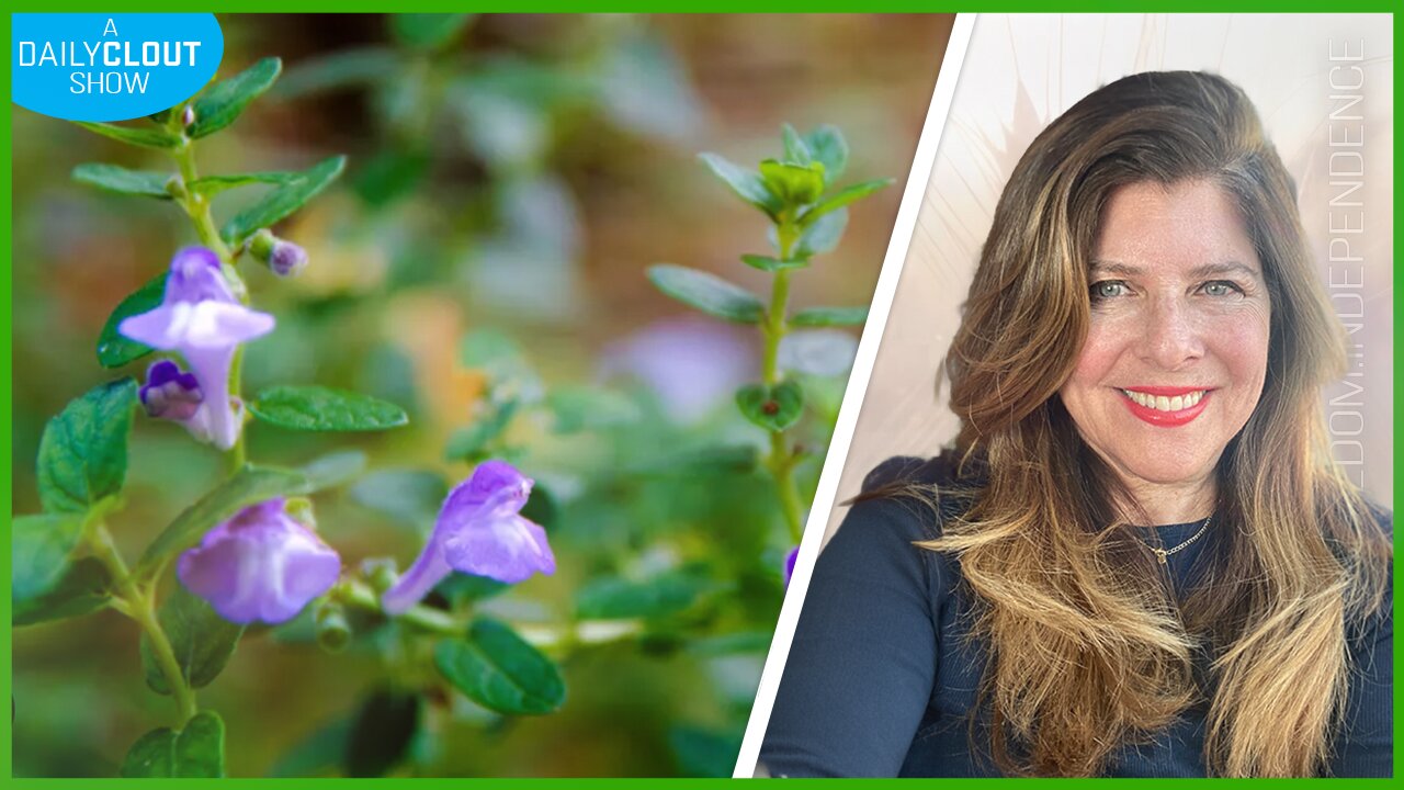 Forbidden Herbs: Garcinia for Weight Loss, Golden Milk: Sleep, Skullcap for Anxiety