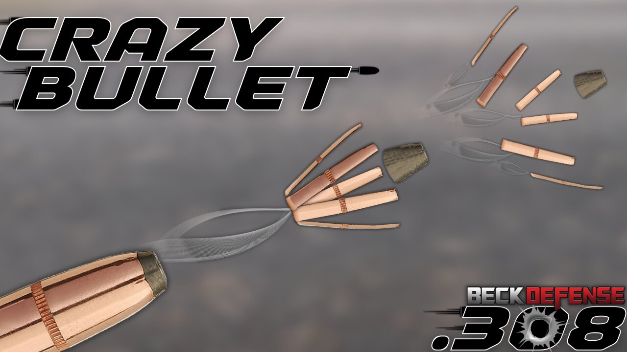 THIS AMMO IS DANGEROUS!! .308 Controlled Chaos