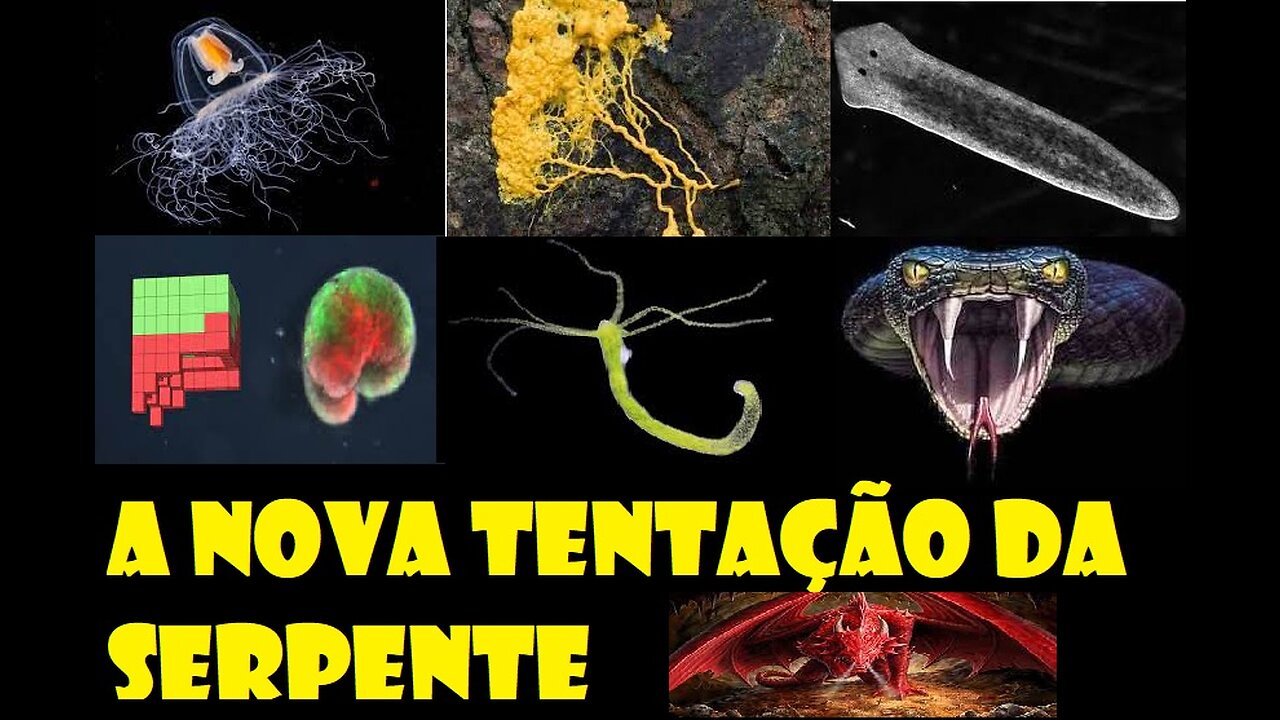 Criaturas sintéticas imortais I A nova tentação da antiga 🐍🐉👹