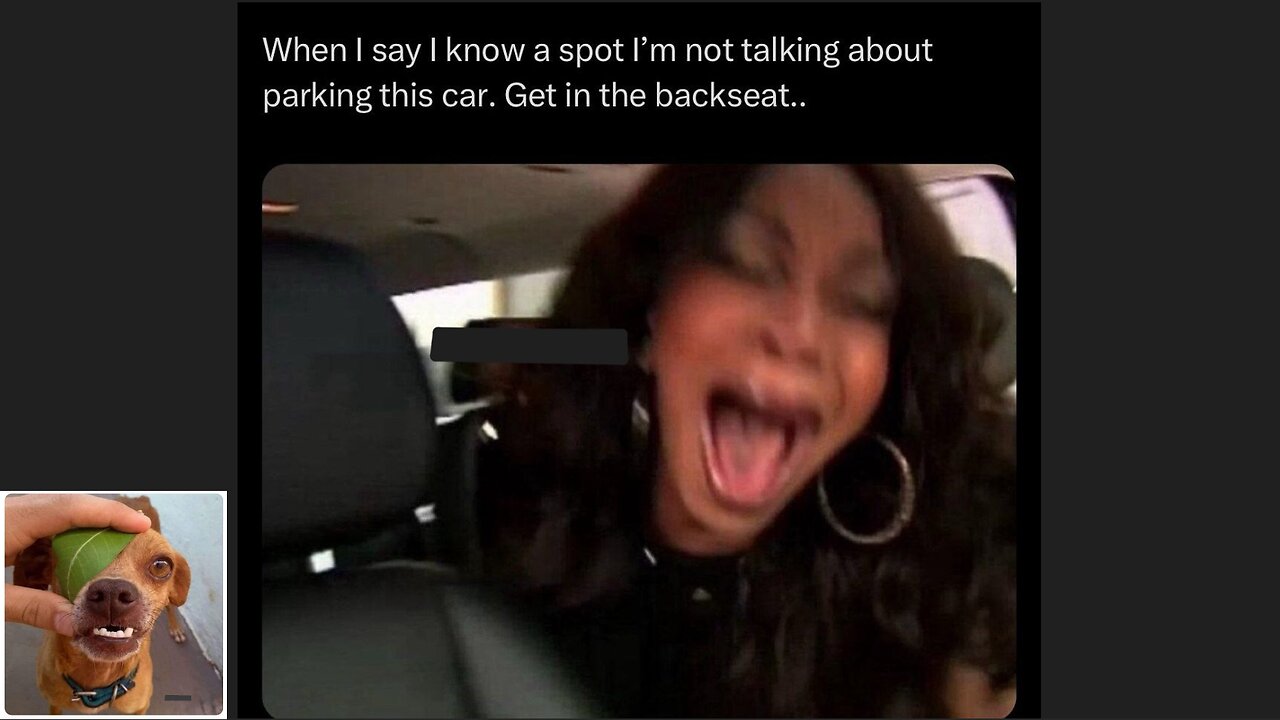 Memes That Will 99.852% Make You Laugh. (e77)