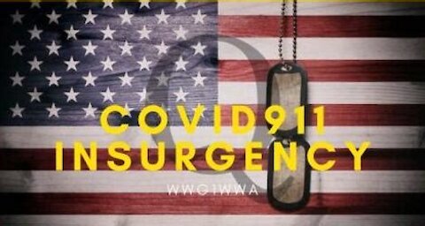 Covid 911 - Insurgency (Mirrored from Joe M)