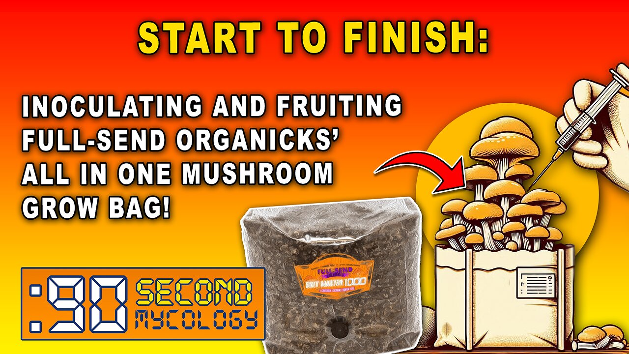 Start to Finish \ Full-Send OrgaNicks’ All-in-One Grow Bag Inoculation & Fruiting!