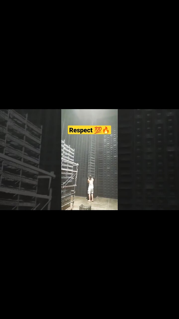 Respect 💯🔥 || Well organised 👏😳😱 #shorts
