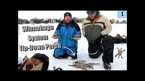 Tip-Down Perch, Lake Winnebago System | Wisconsin Ice Fishing