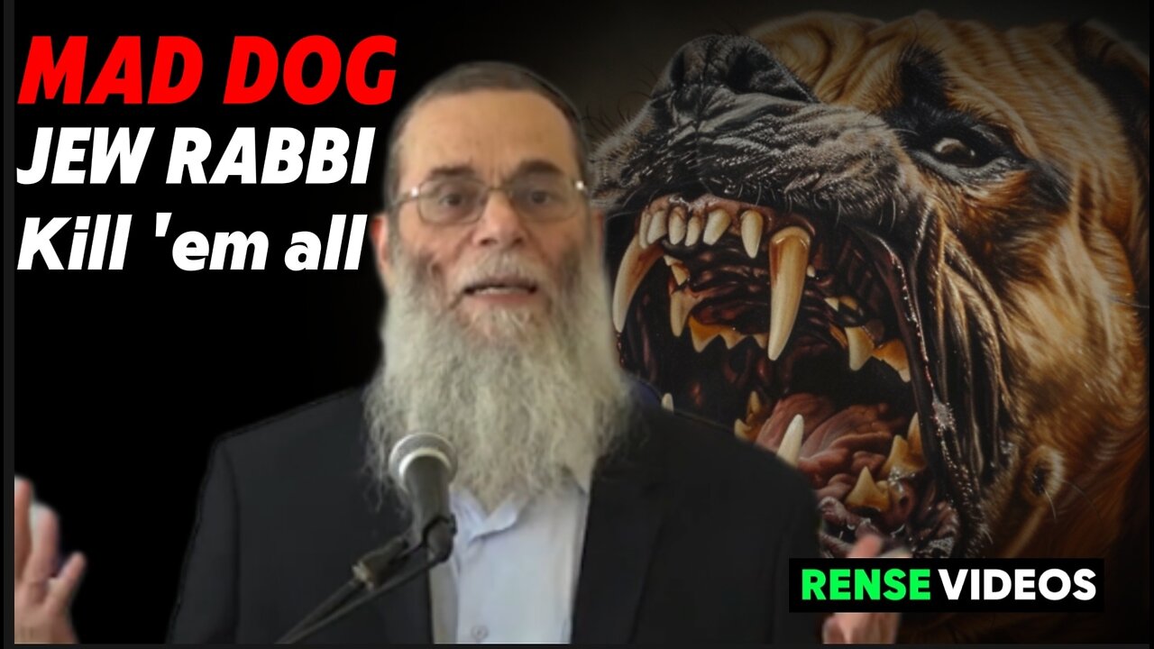 Mad dog Rabbi