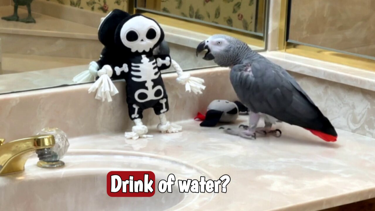 Sympathetic parrot asked skeleton if hed like a drink
