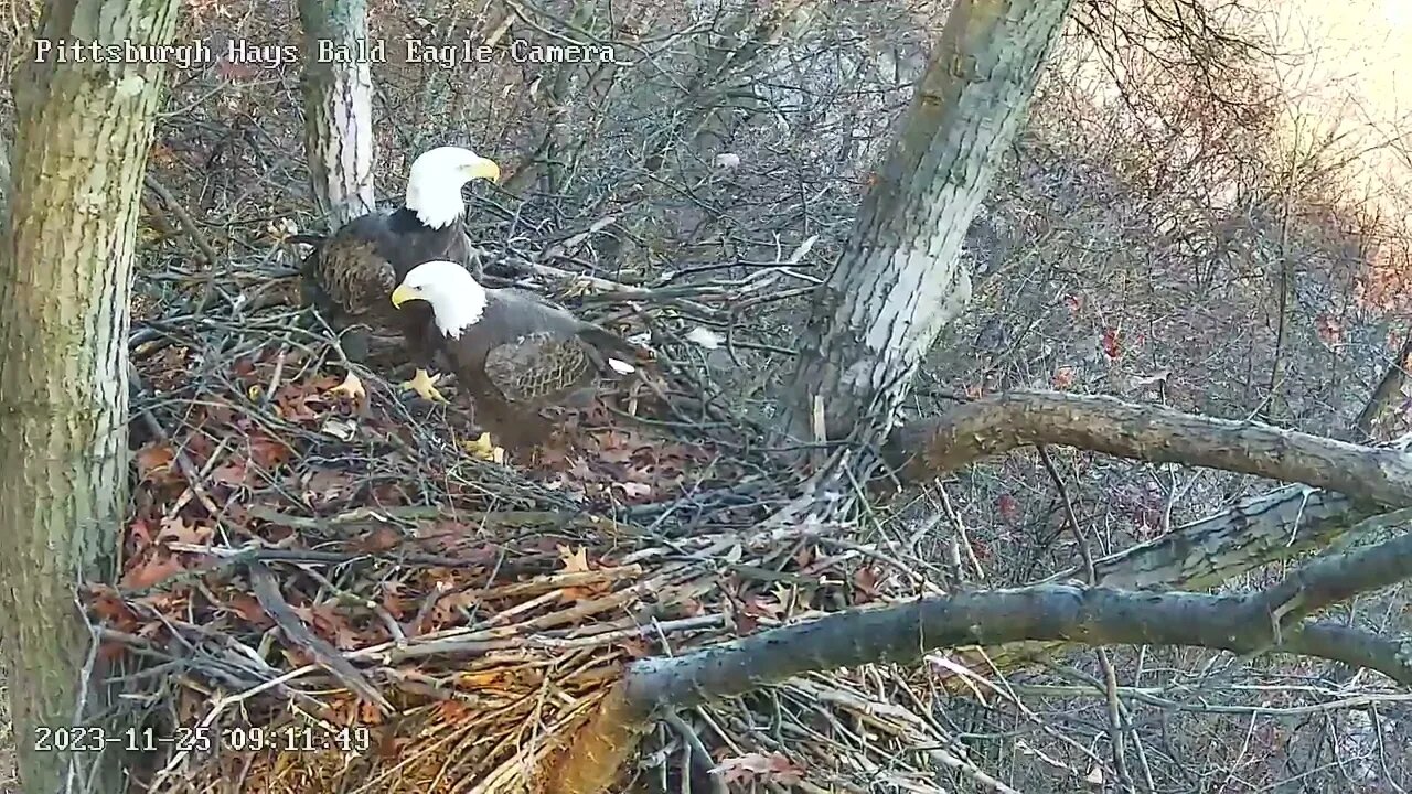 Hays Eagles Mom tells V Keep away from those Sticks 11.25.23
