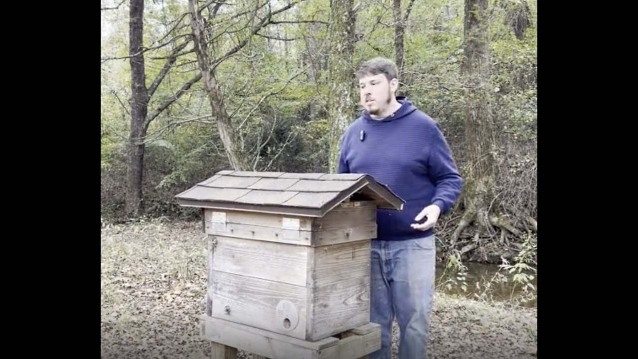 Thoughts on the Natural Process of our Honey Harvest.