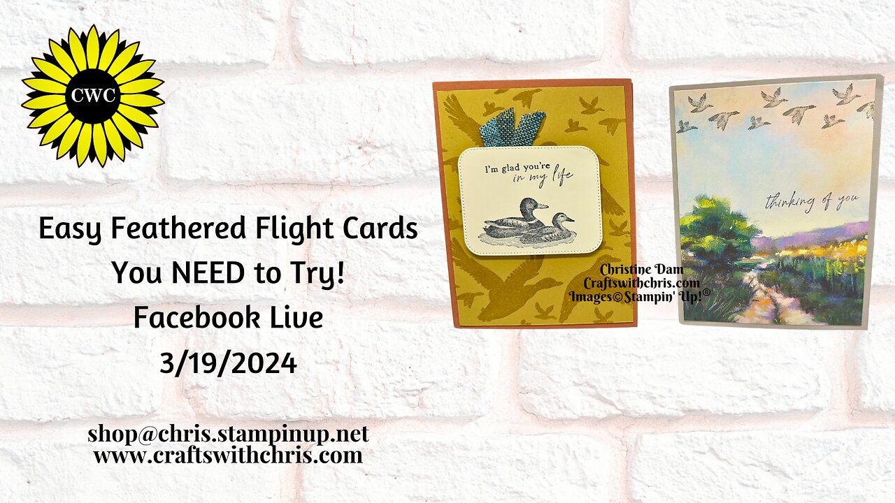 Super Easy Feathered Flight Cards with Embossed Background & DSP by Stampin Up!