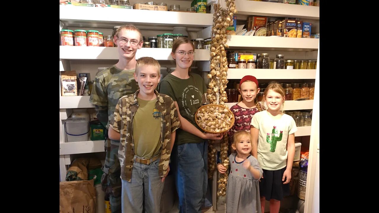 Garlic: Planting 1000+ Cloves for 2024!