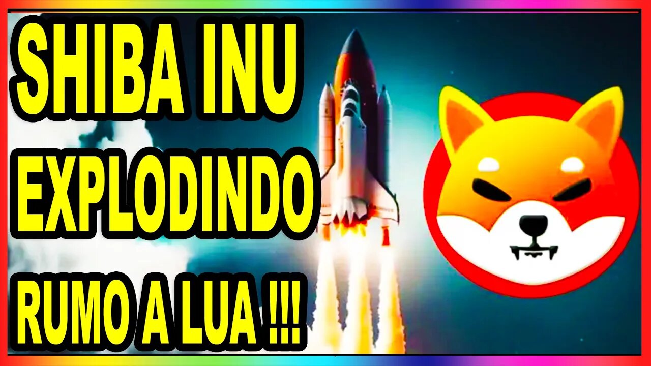 SHIBA INU EXPLODINDO RUMO A LUA !!!
