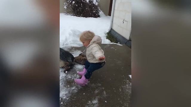 Little Girl Falls on Bum in the Snow: The Cutest Accident