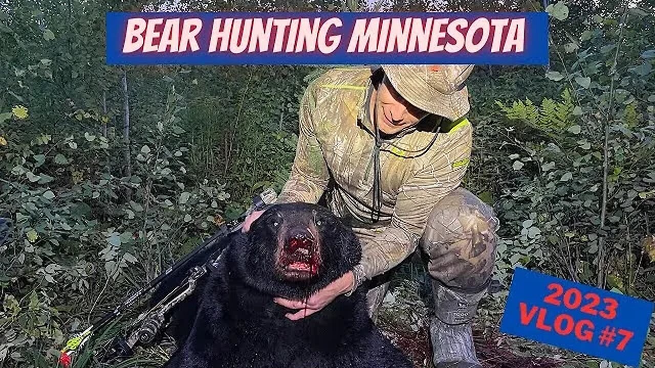 Minnesota Bear Hunting 2023 bear vlog 7 | Killin TIME!
