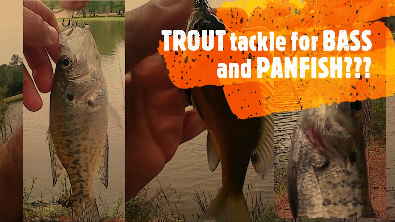 Trout Tackle for Bass and Panfish