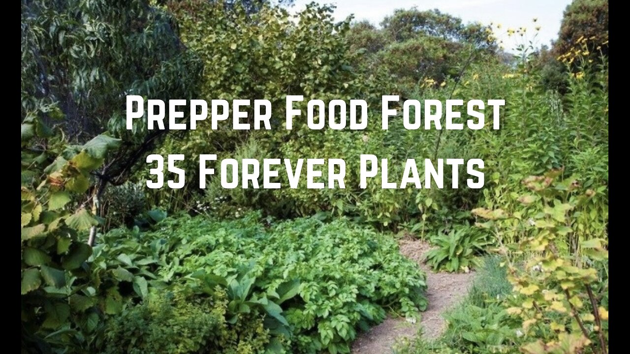 Prepper Food Forest: 35 Forever Plants