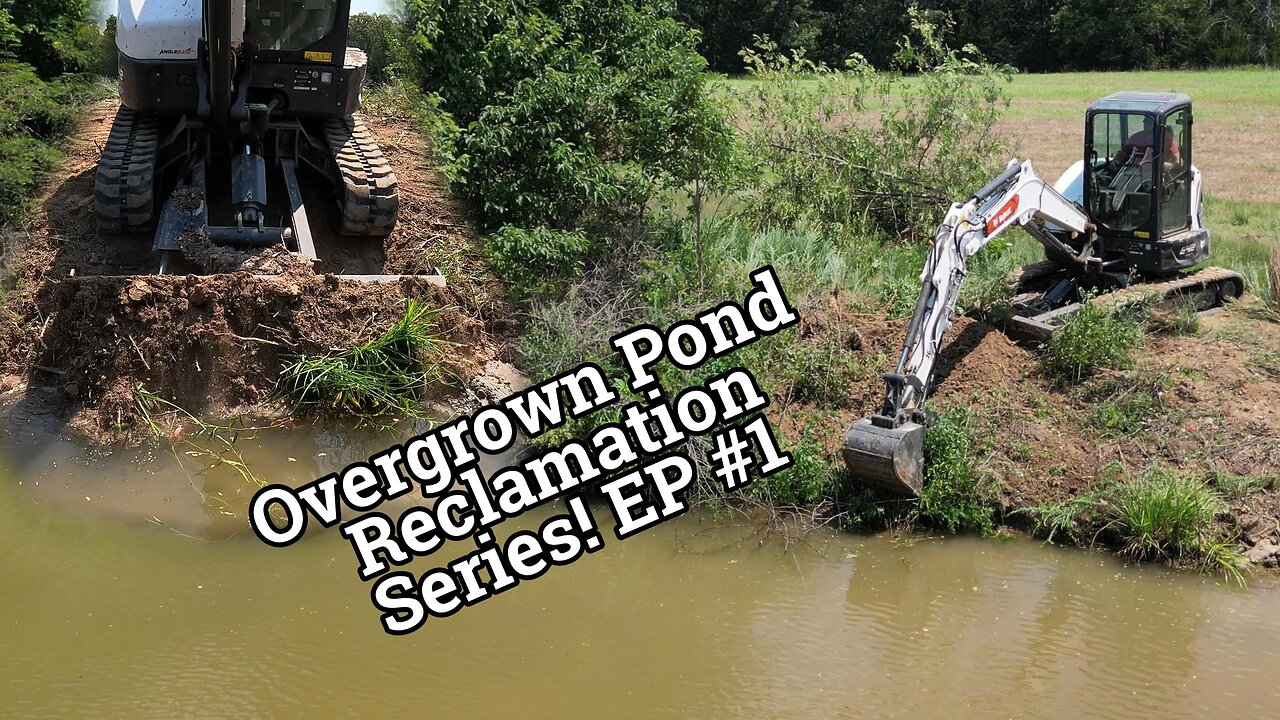 Missouri Ozarks Pond Transformation! EP #1 Clearing 20 trees & grading new beach!