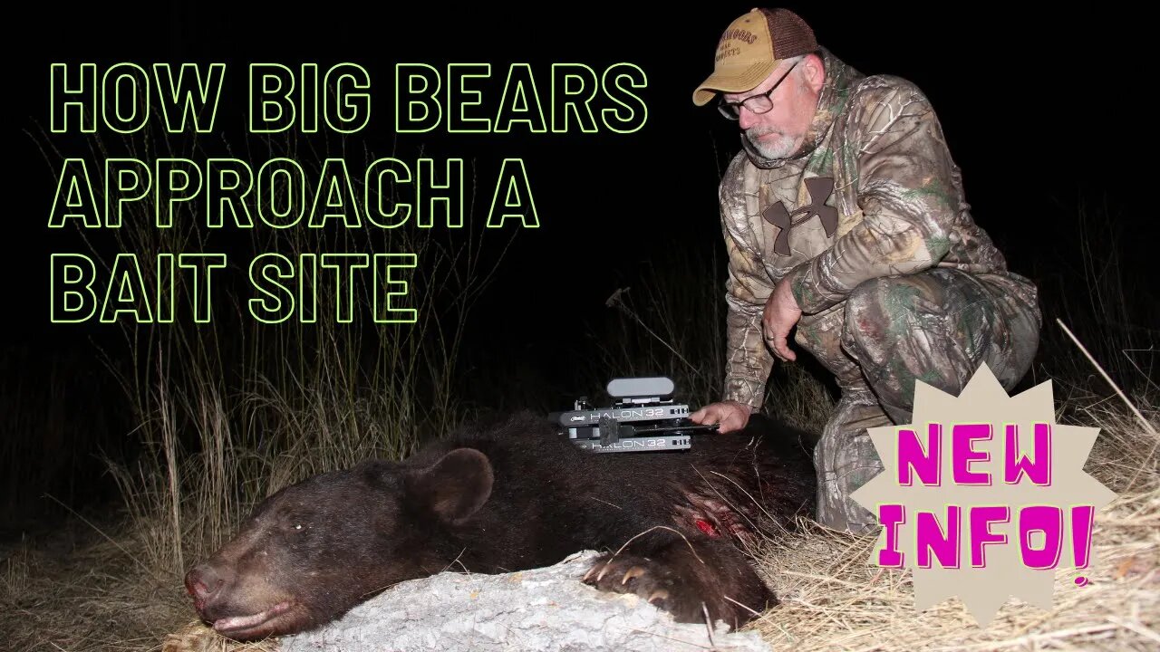 Surprising info on how big bears approach a bait site!