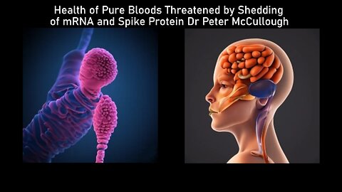 Health of Pure Bloods Threatened by Shedding of mRNA and Spike Protein FULL STORY