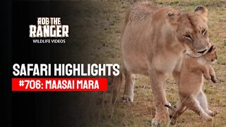 Safari Highlights #706: 16 August 2022 | Lalashe Maasai Mara | Latest Wildlife Sightings