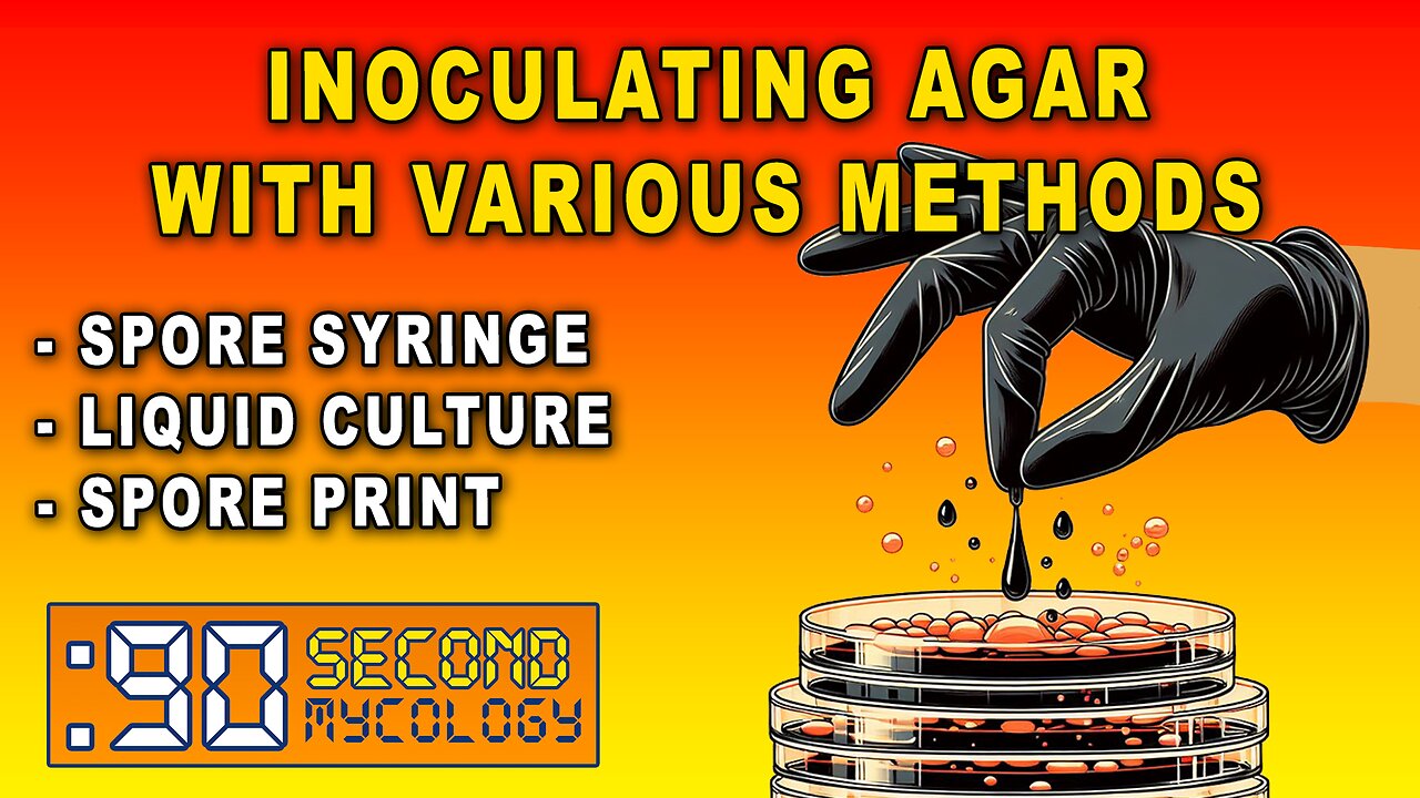 Inoculating Agar With Various Methods \ Why YOU NEED AGAR as a Hobby Mycologist!