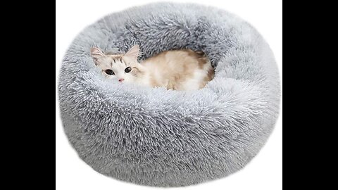 BODISEINT Modern Soft Plush Round Pet Bed for Cats or Small Dogs, Mini Medium Sized Dog Cat Bed...