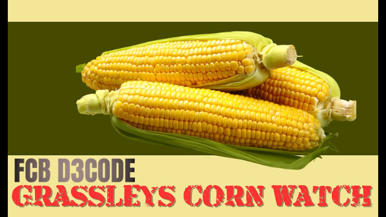 GRASSLEYS CORN WATCH FCB D3CODE