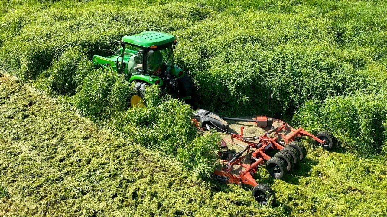 GRASS & WEEDS UP TO CAB! 52 HP Tractor + 10 Flex Wing Mower, Wedding Prep!