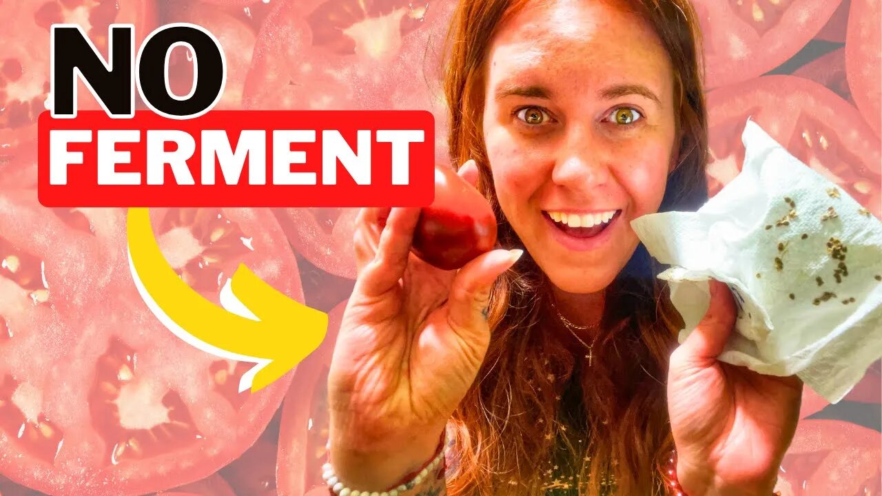 Why You DO NOT Need To Ferment Tomato Seeds Every Time!