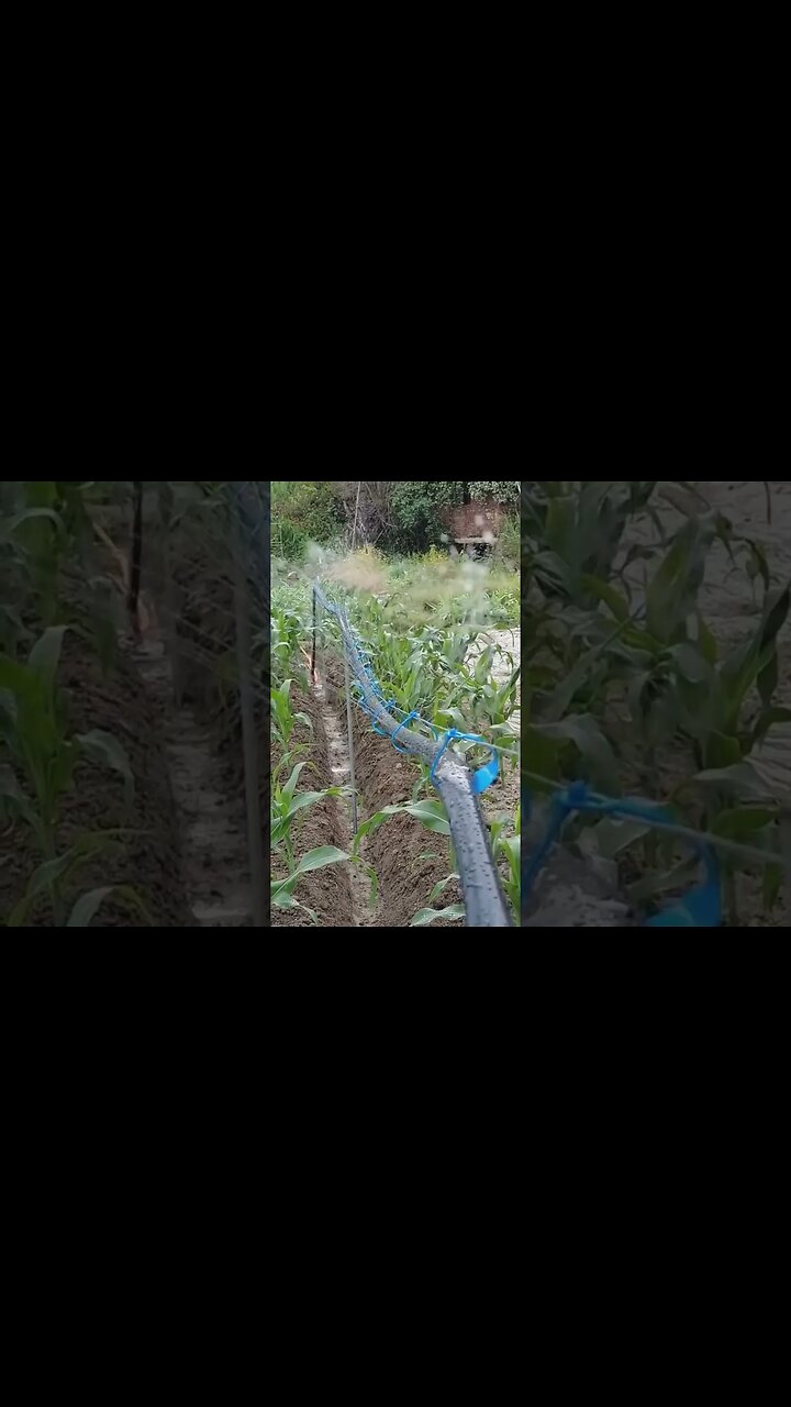 Irrigação suspensa, bora testar? #compostagem