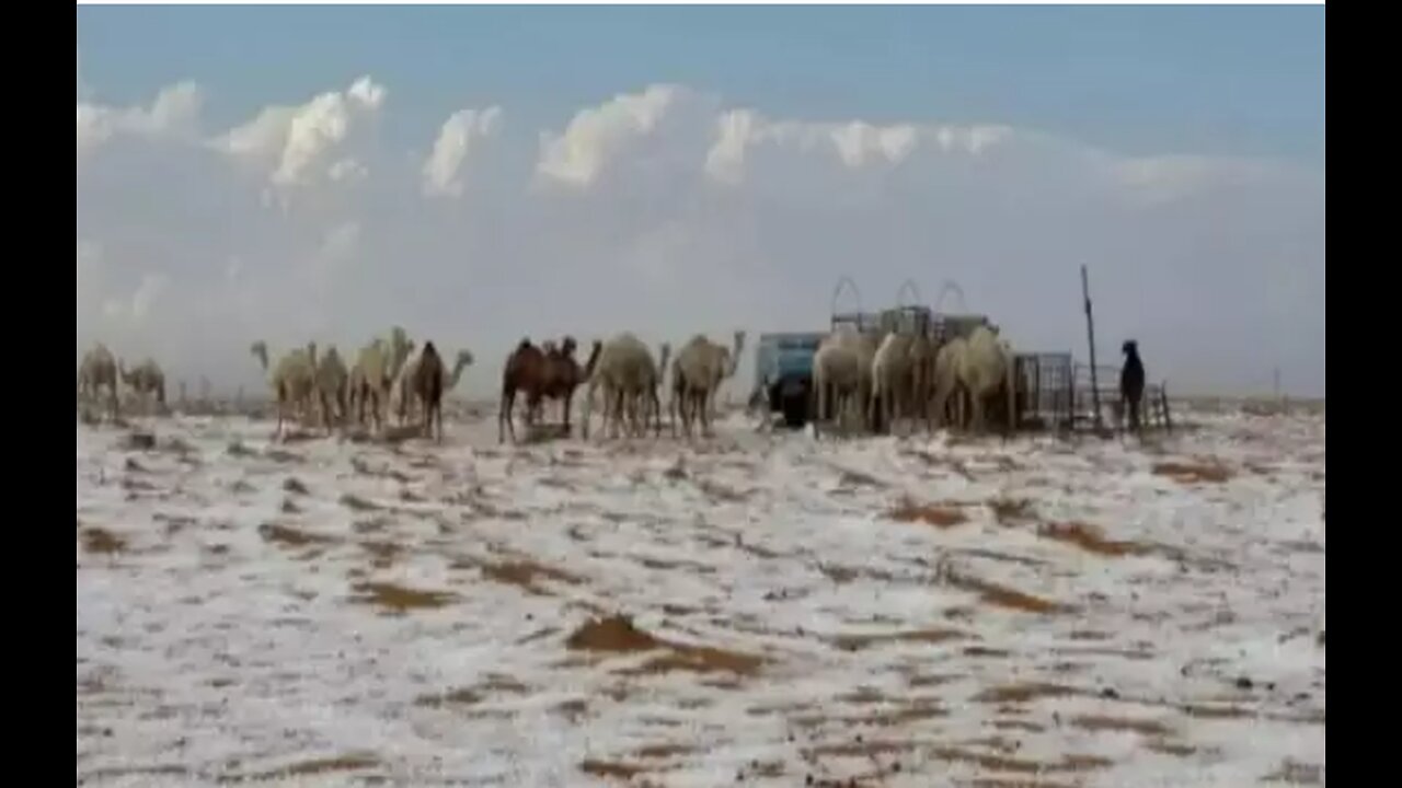 SAUDI ARABIA GETS FIRST EVER IN HISTORY SNOW
