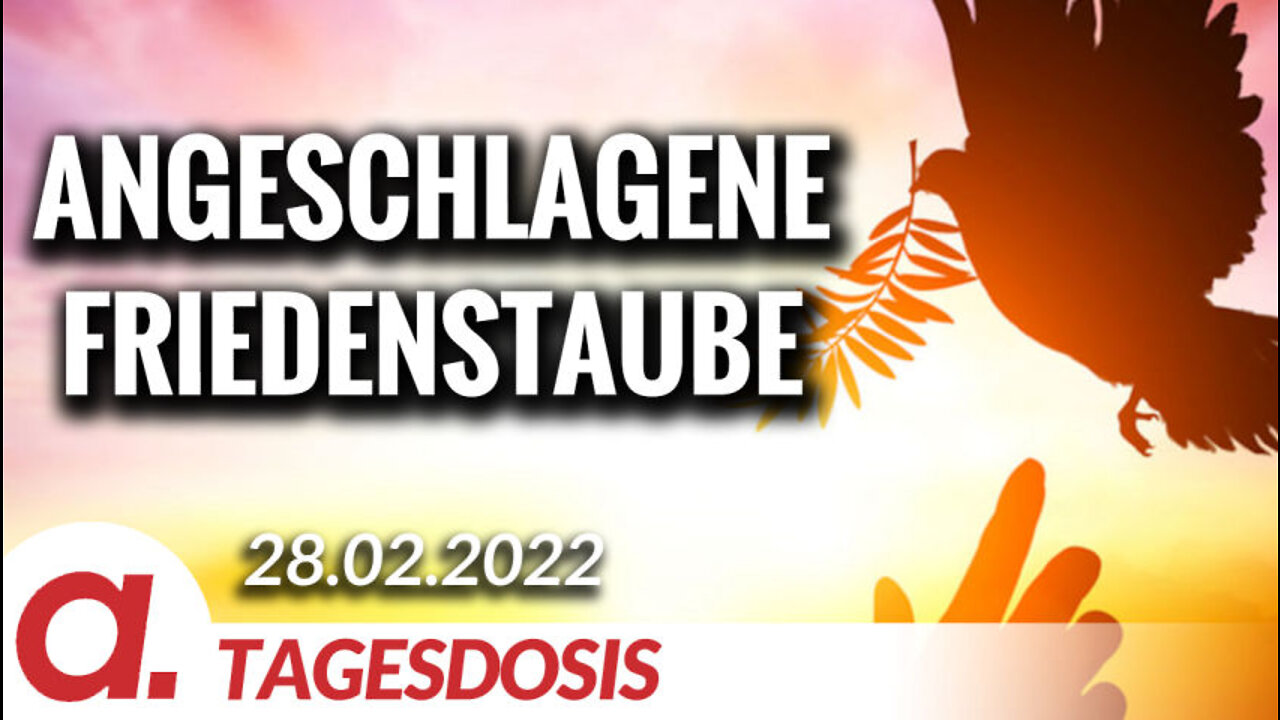 Angeschlagene Friedenstaube | Von Liane Kilinc