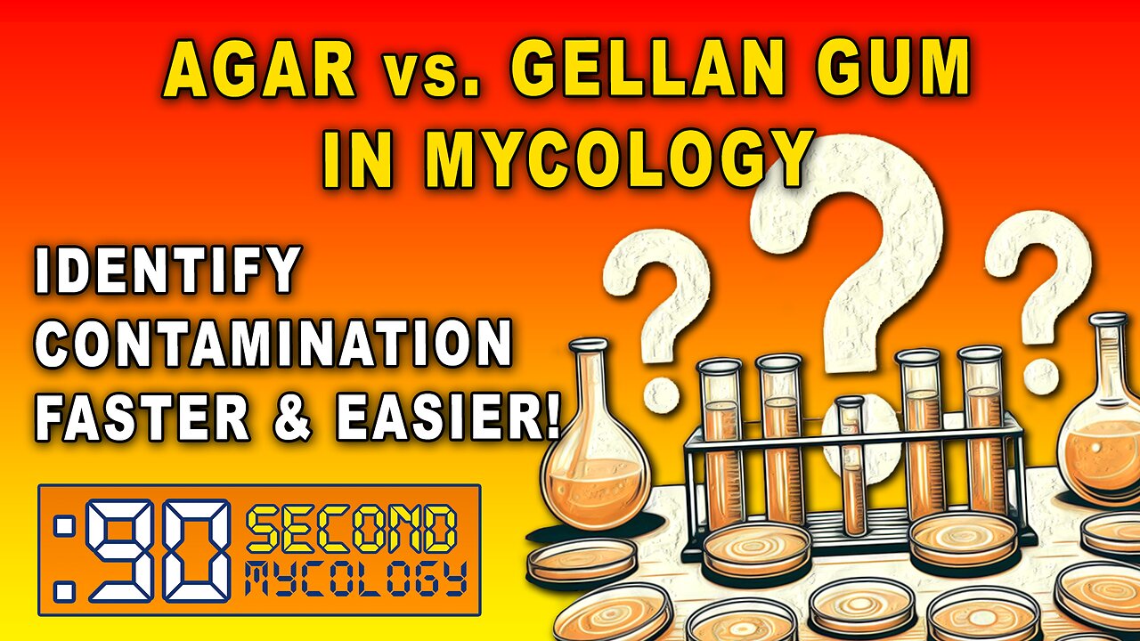 Agar vs. Gellan Gum in Mycology \ Identify Contamination Faster & Easier!